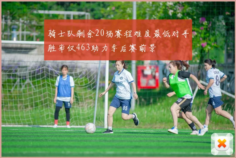 骑士队剩余20场赛程难度最低对手胜率仅463助力季后赛前景