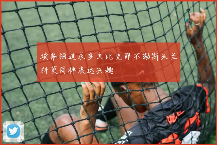 埃弗顿追求多夫比克那不勒斯米兰科莫同样表达兴趣