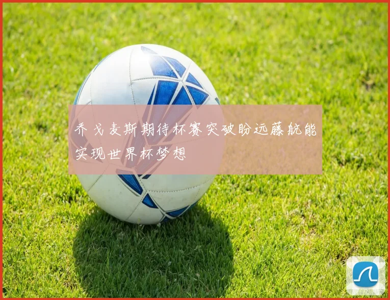 乔戈麦斯期待杯赛突破盼远藤航能实现世界杯梦想