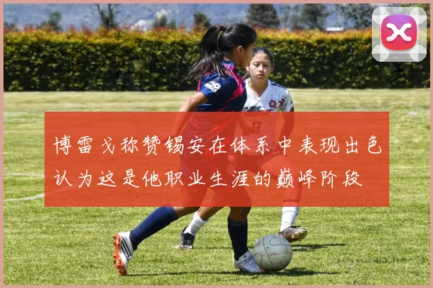 博雷戈称赞锡安在体系中表现出色认为这是他职业生涯的巅峰阶段