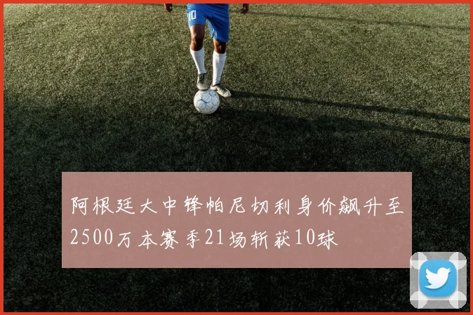 阿根廷大中锋帕尼切利身价飙升至2500万本赛季21场斩获10球