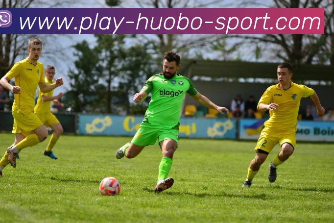 火博体育平台生态图